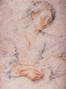 Peter Paul Rubens The Girl Spain oil painting artist